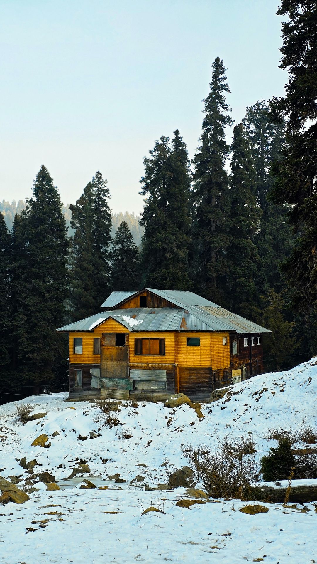 A yellow house in the middle of a snowy field